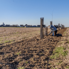 Beauce 2050 Planter sans se planter