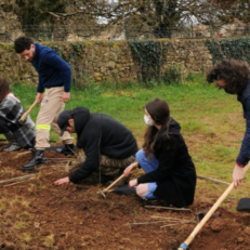 Etudiants KEDGE qui plantent des arbres