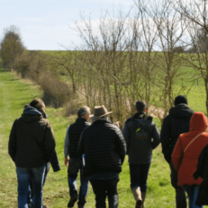 Lycéen dans un champ agroforestier