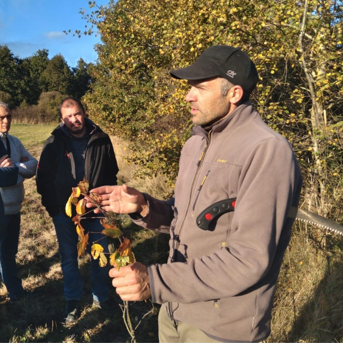 Adrien Messéan formation Fourrages ligneux