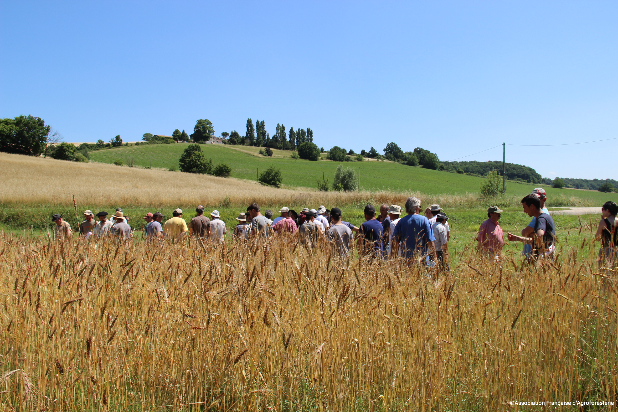 Groupe participant à une formation agroforesterie