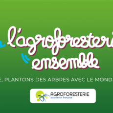 Lancement de l'initiative l'Agroforesterie ensemble