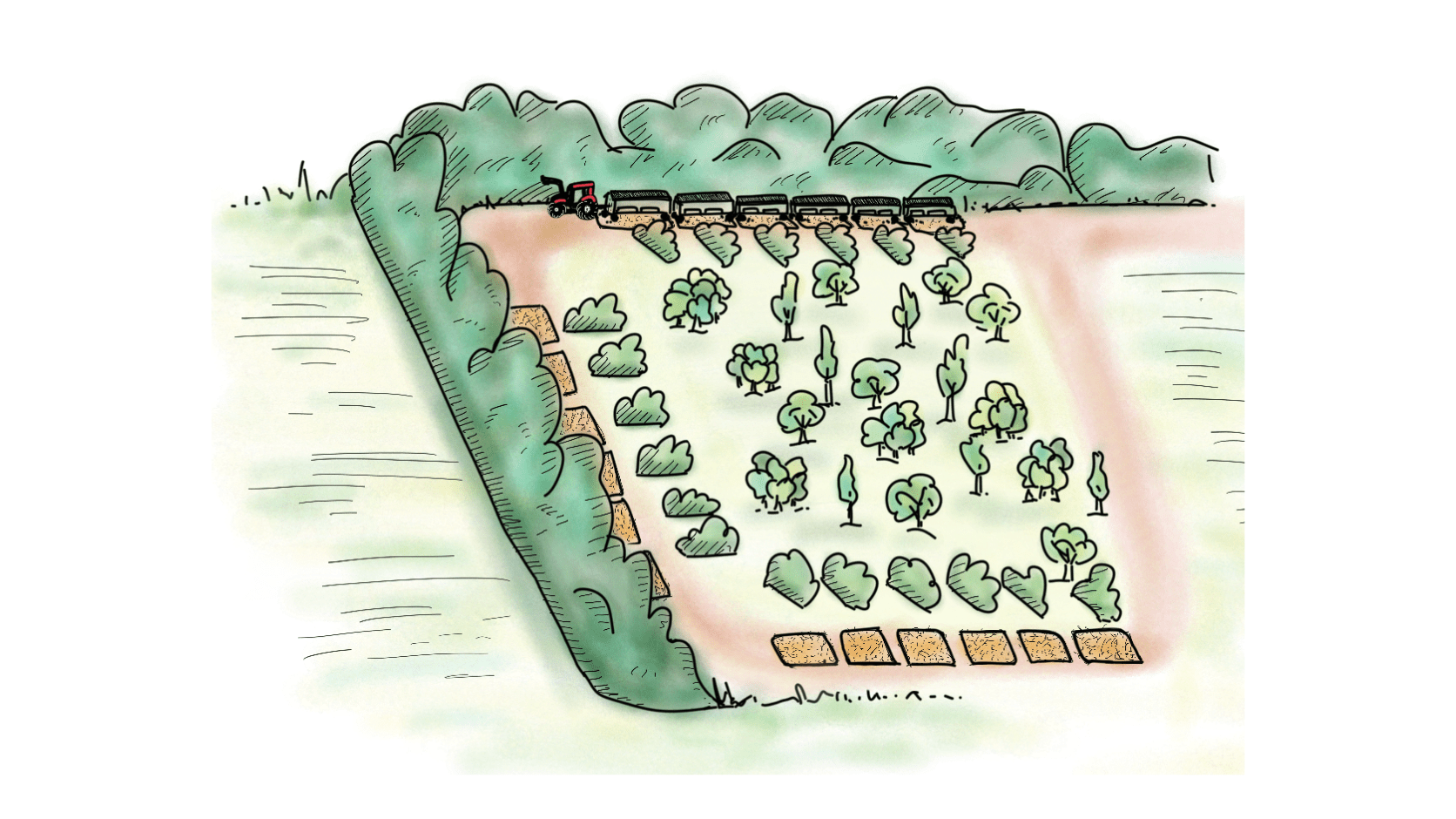 Les parcours volailles avec cabanes1