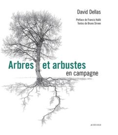 Arbres et arbustes en campagne