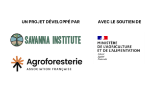 Logo Savana institut AFAF Ministère de l'agriculture