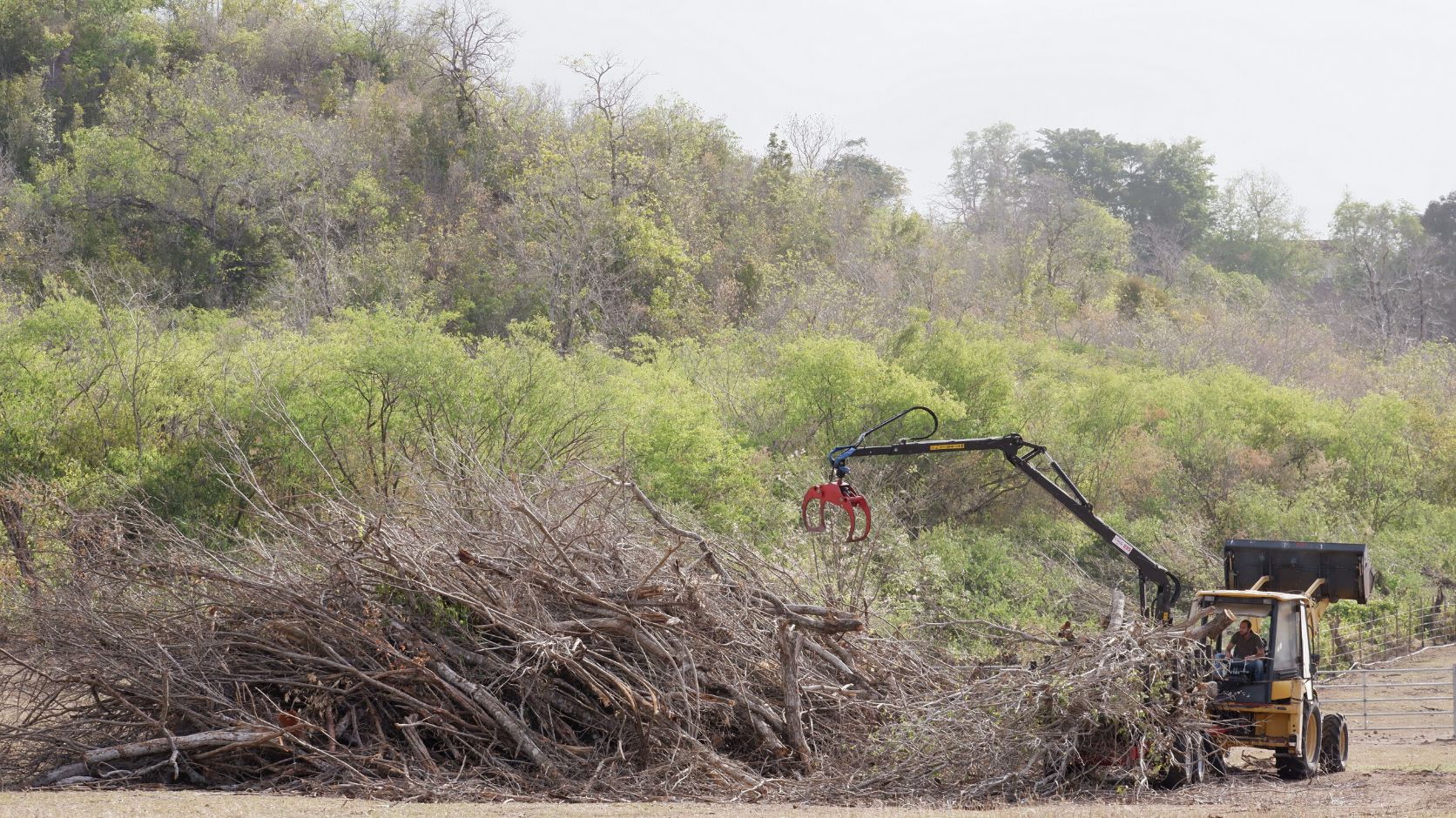 Debardage chantier bois bocage Martinique (3)