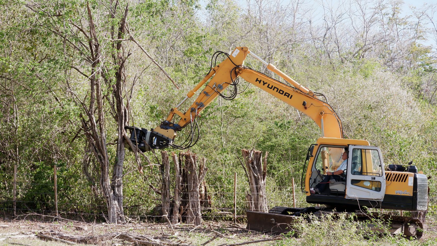 Pelleteuse sur chantier bois bocage Martinique