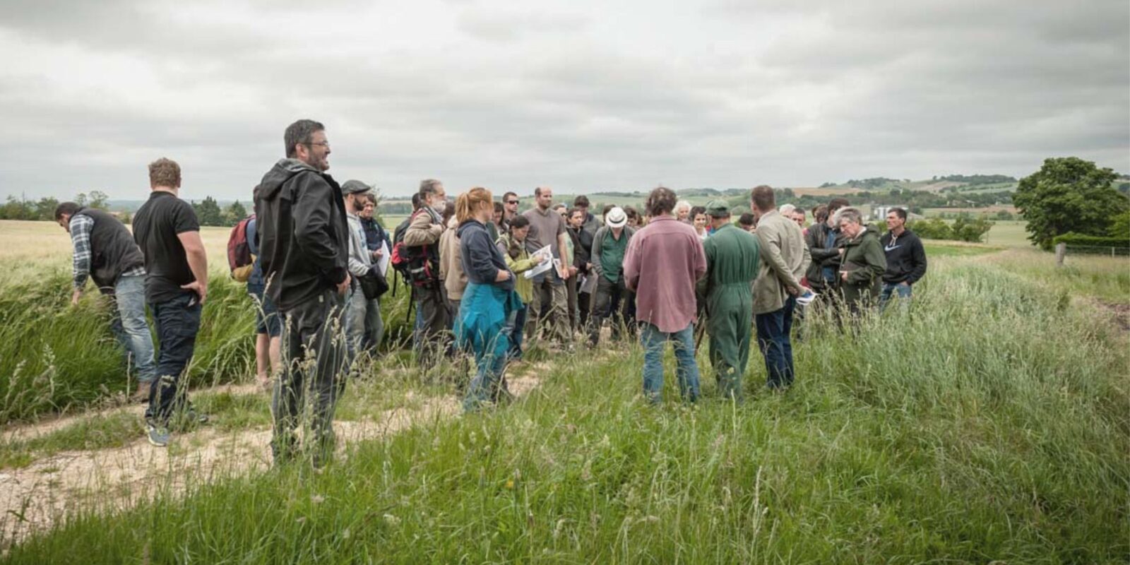 Groupe particpant à une formation en agroforesterie