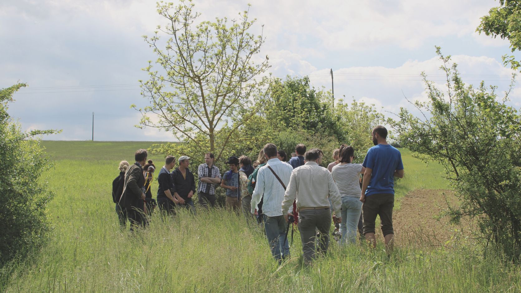 groupe dans un champ