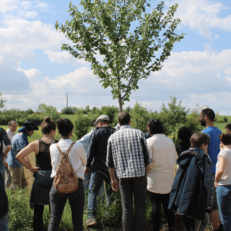 Groupe de personne dans un champs agroforestier