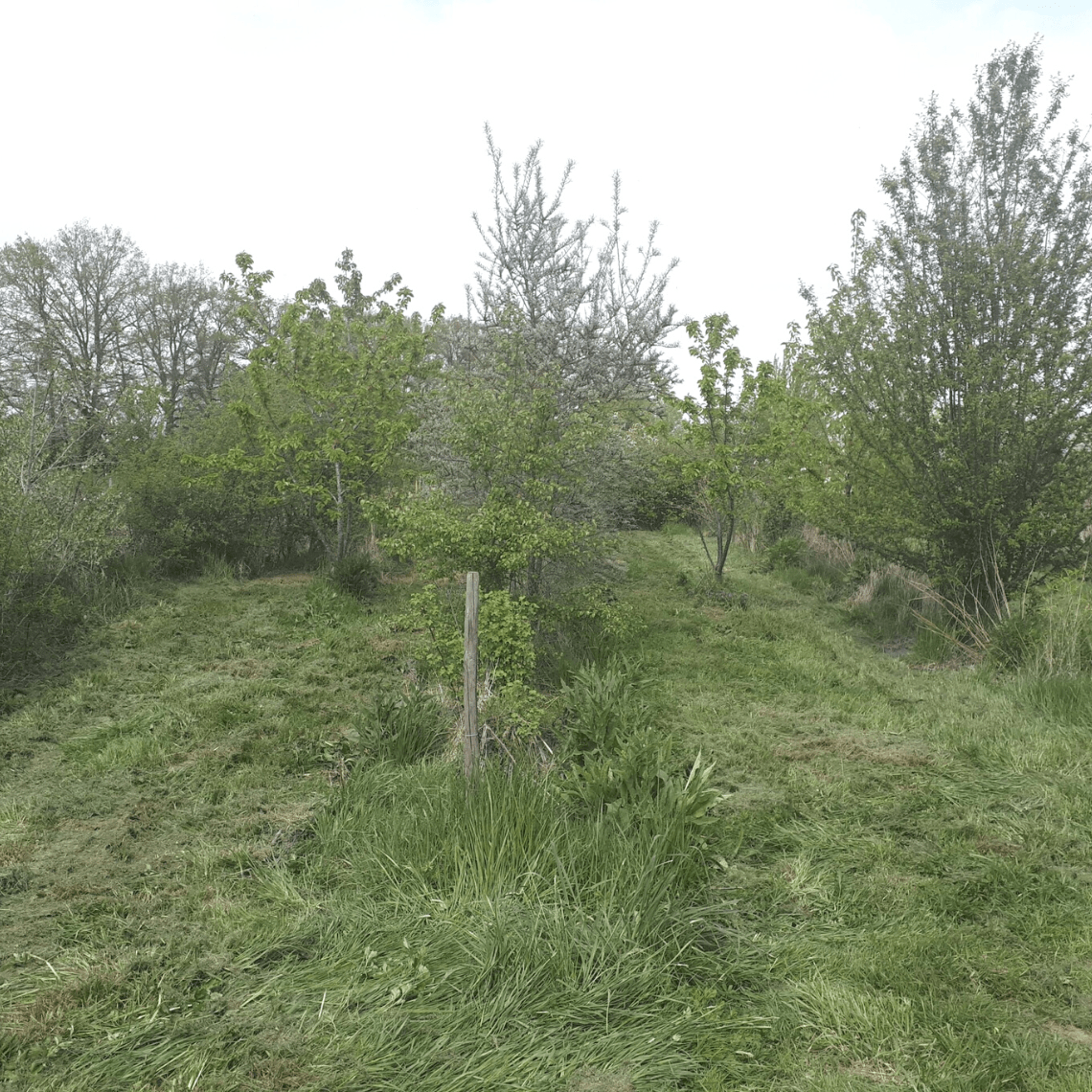 jardin fôret