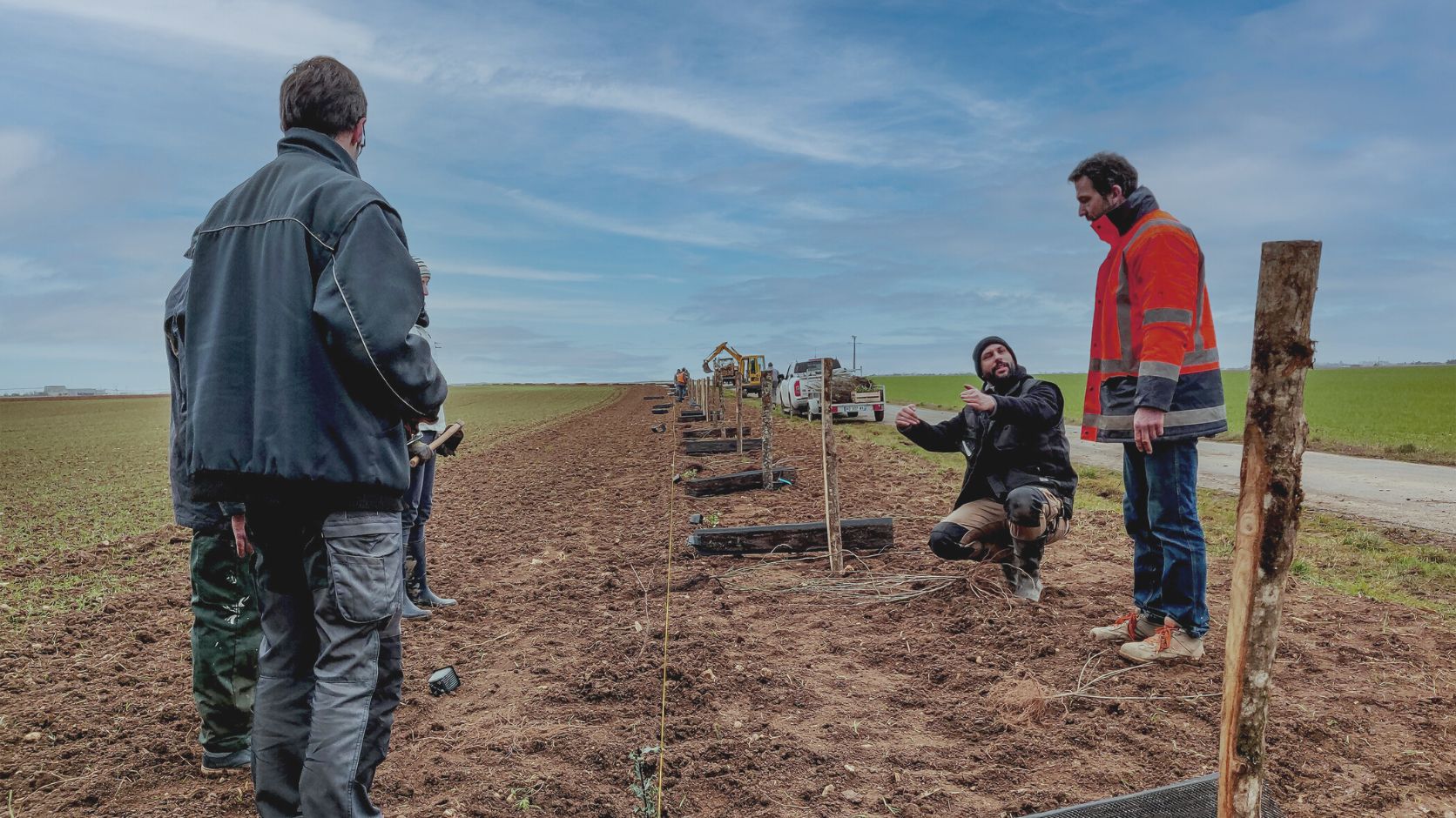 Plantation dans la Beauce