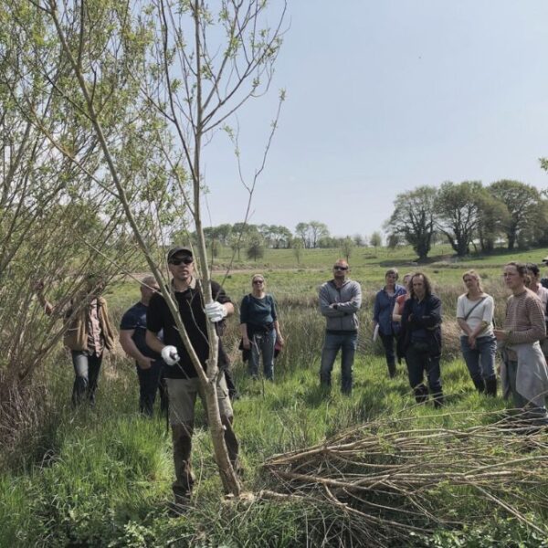 Formation agroforesterie agroécologie