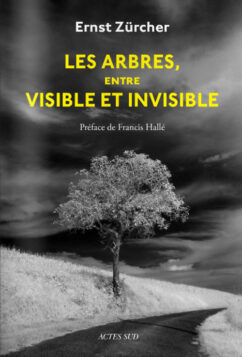 Les Arbres entre visible et invisible