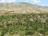Payage agroforesterie Haiti