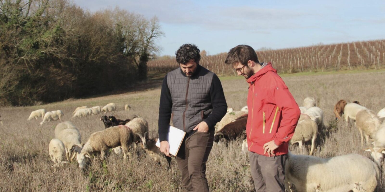 Agriculteur-éleveur participant au réseau Agr'eau