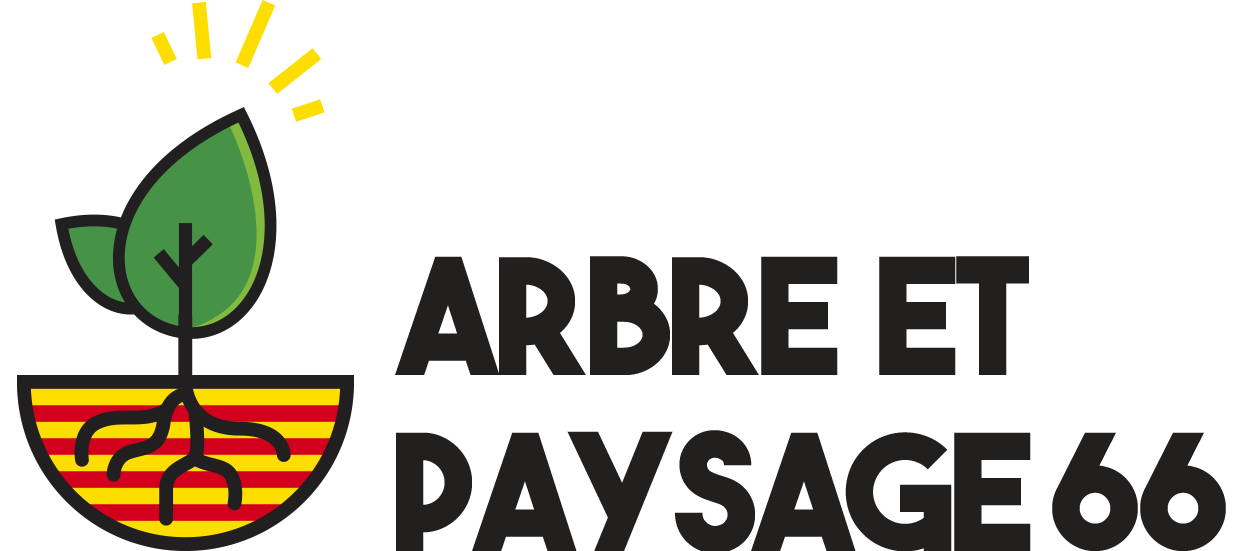 Arbre et paysage 66