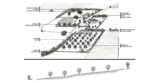 schémas agroforestier racinaire - utilisation de l'arbre dans une exploitation