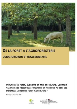 Forêt et agroforesterie