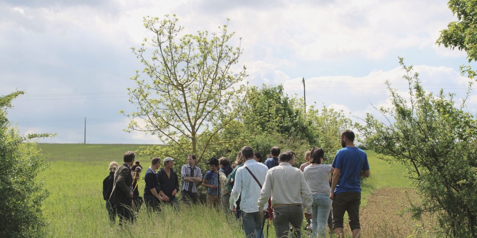 Groupe visitant une parcelle