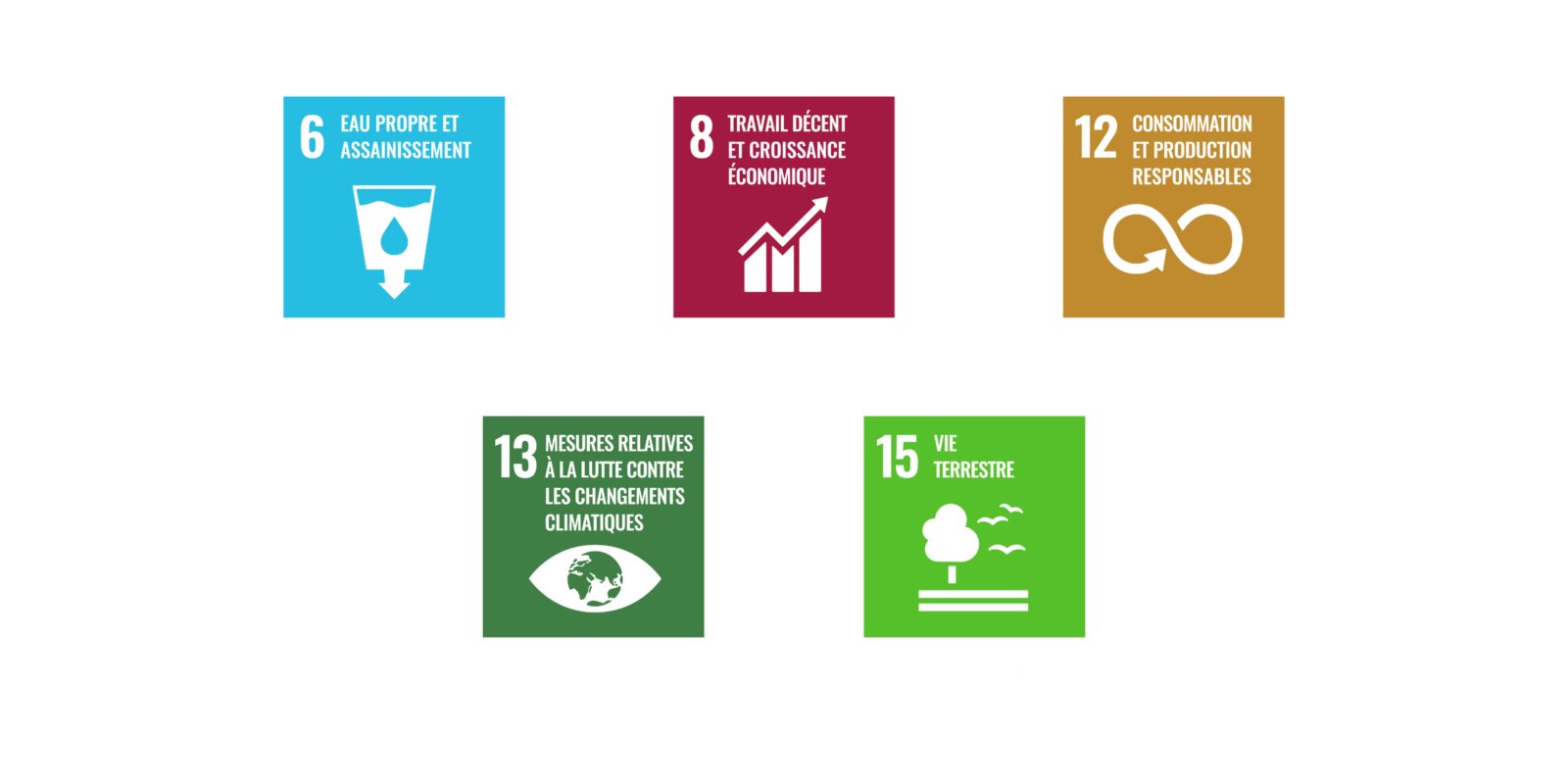 Objectifs de développement durable de l'ONU