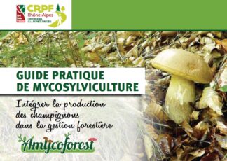 Couverture du guide Mycosylviculture