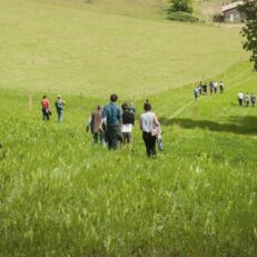 groupe dans un champ