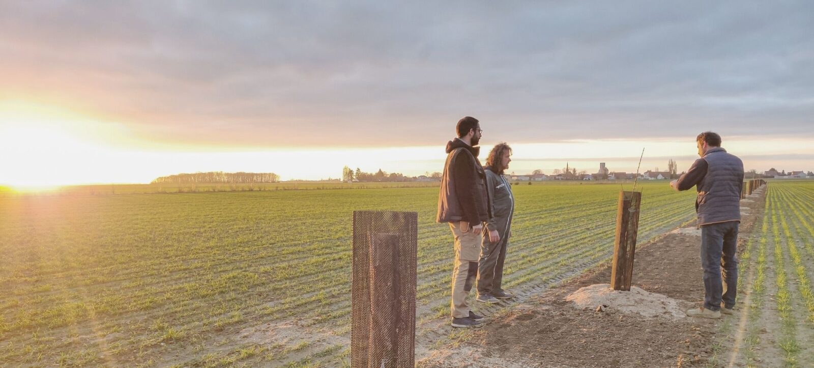 Plantation en beauce chez un céréalier