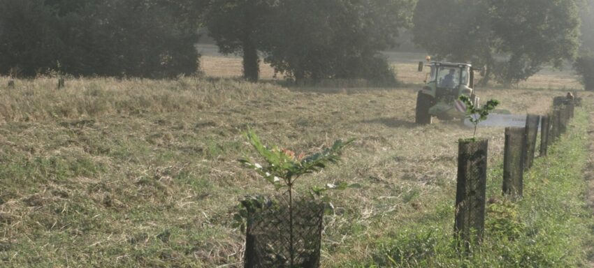 Tracteur dans un champ