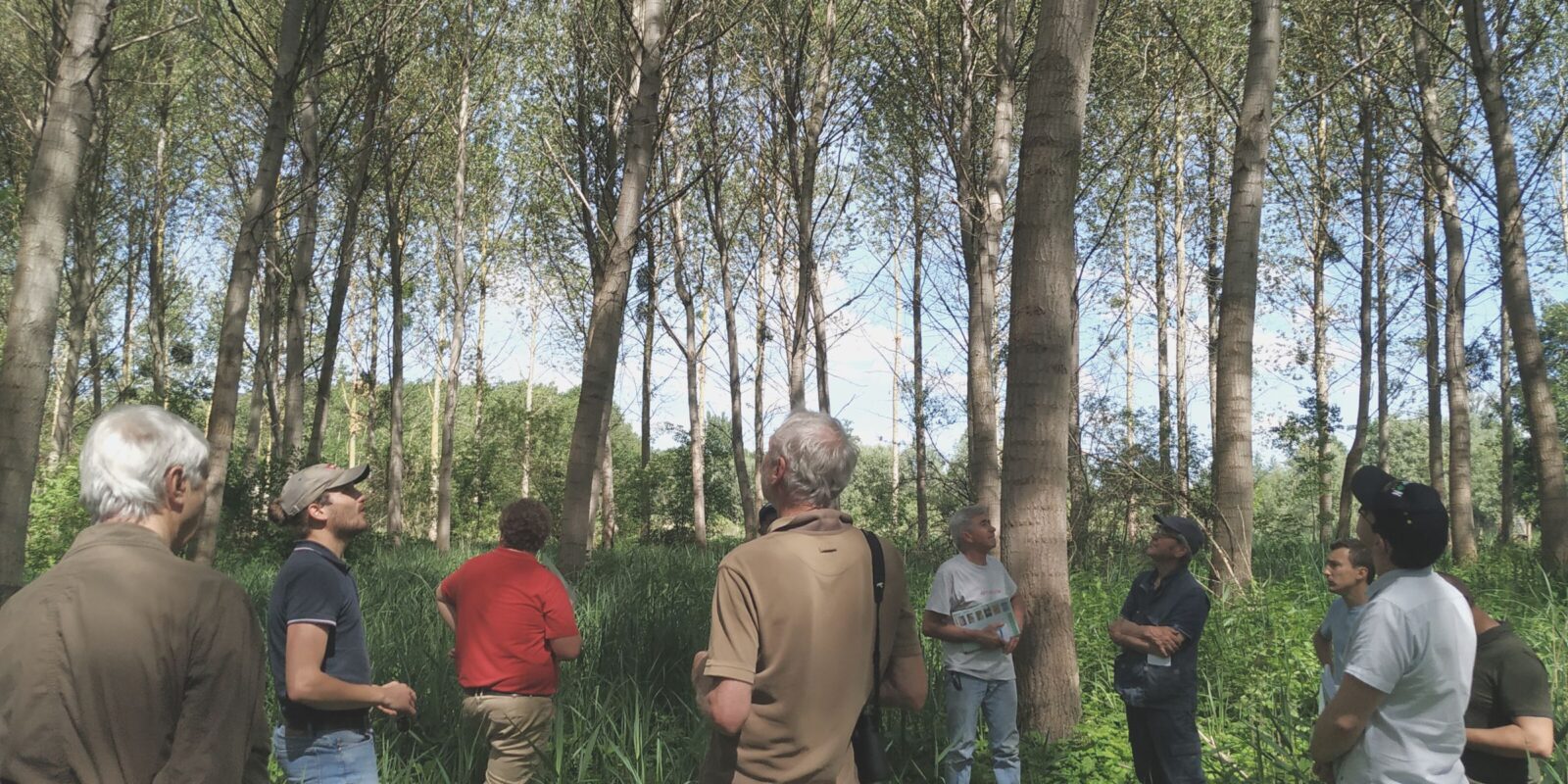 Un technicien proposant une formation sur le terrain à des agriculteurs sur le peuplier dans la Marne.