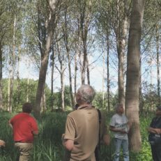 Un technicien proposant une formation sur le terrain à des agriculteurs sur le peuplier dans la Marne.