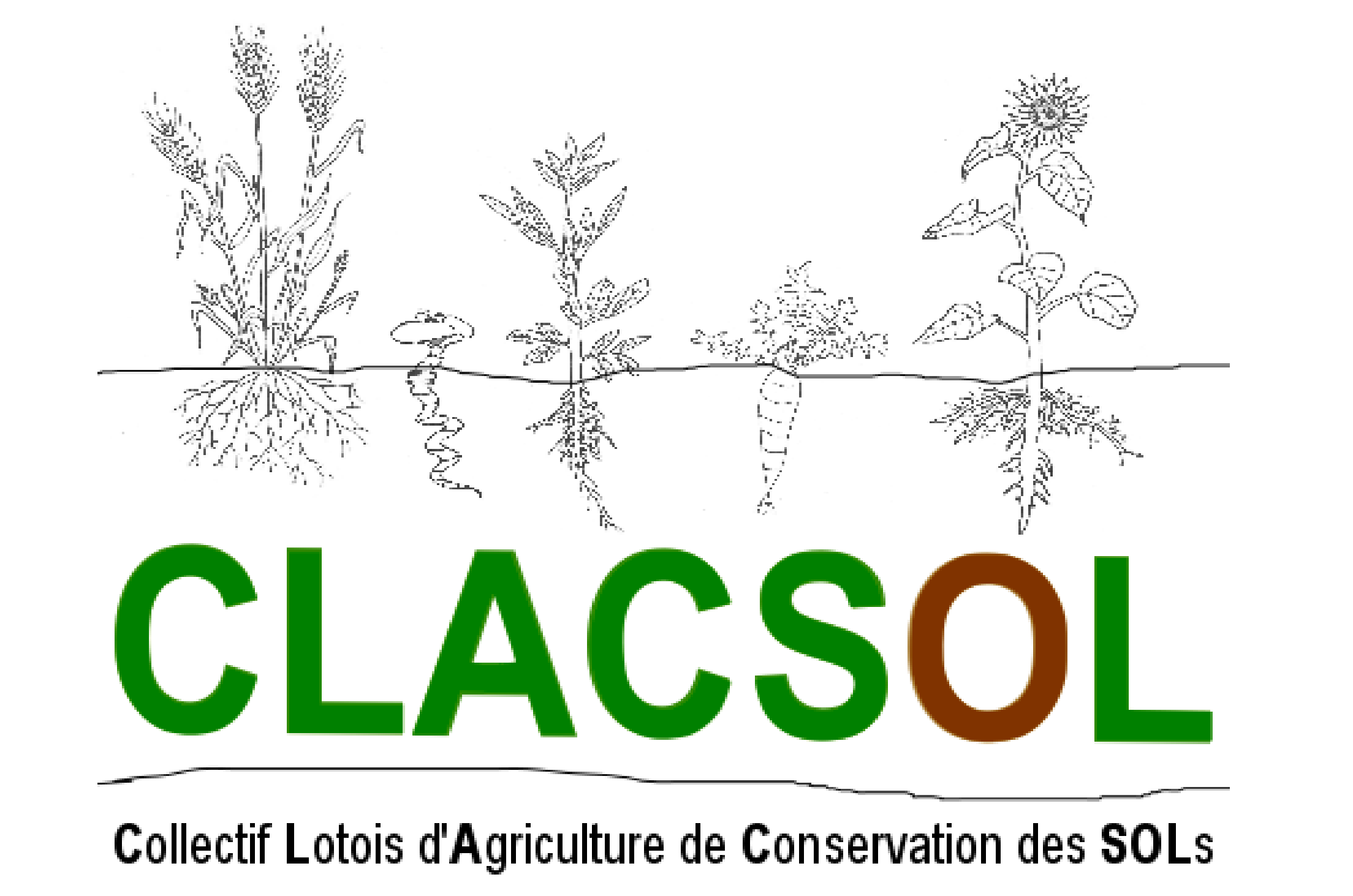Logo association clac sol