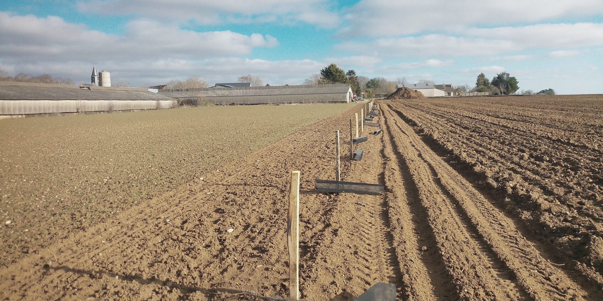 Parcelle post plantation