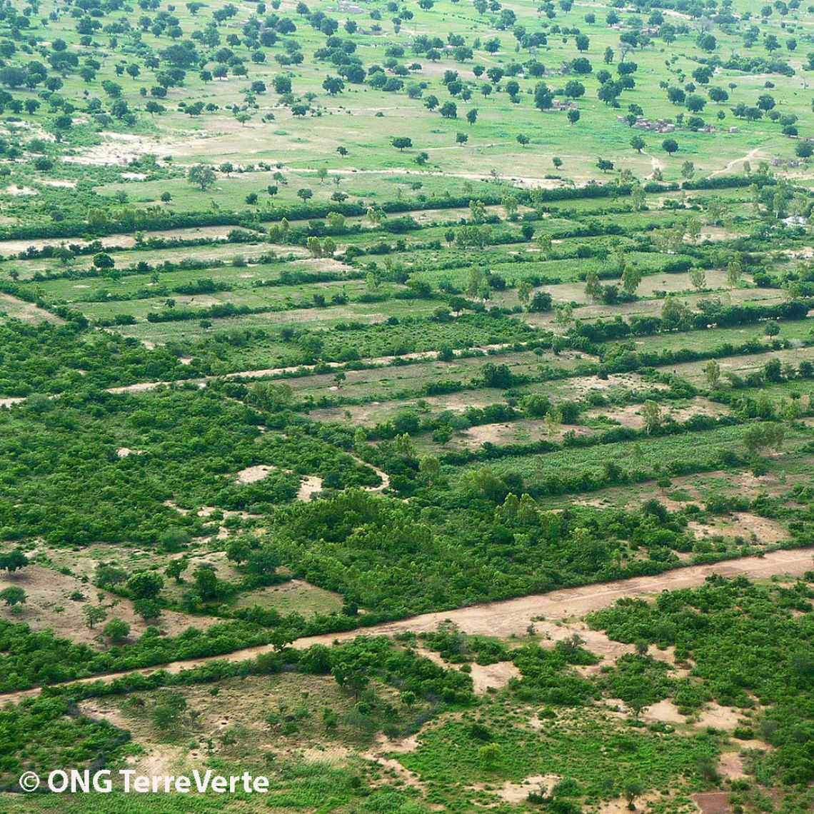 WÉGOUBRI LE BOCAGE SAHÉLIEN