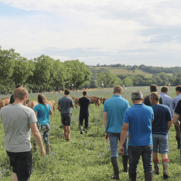 Groupe de personne participant à une formation