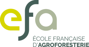 Logo EFA