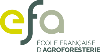 Logo EFA