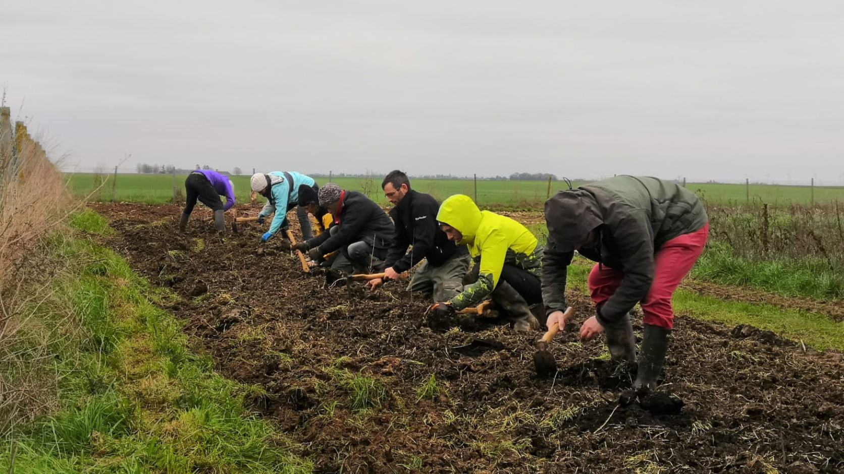 Plantation chez Aude Mornas