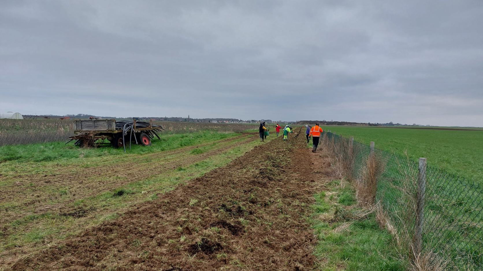 Plantation chez Aude Mornas