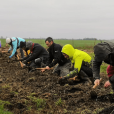 plantation par les élèves de l'efa