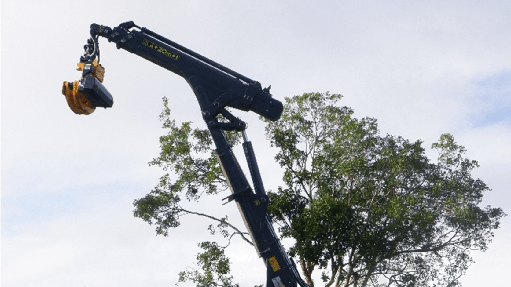 Découpe d'arbre