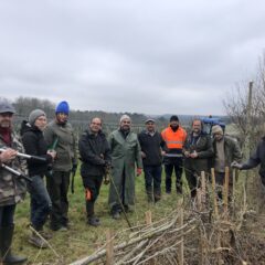 Groupe en formation