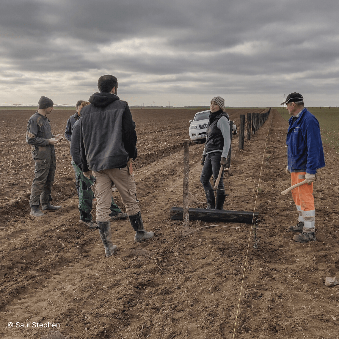Des bénévoles en train de planter au cœur de la Beauce en partenariat avec GoodPlanet.