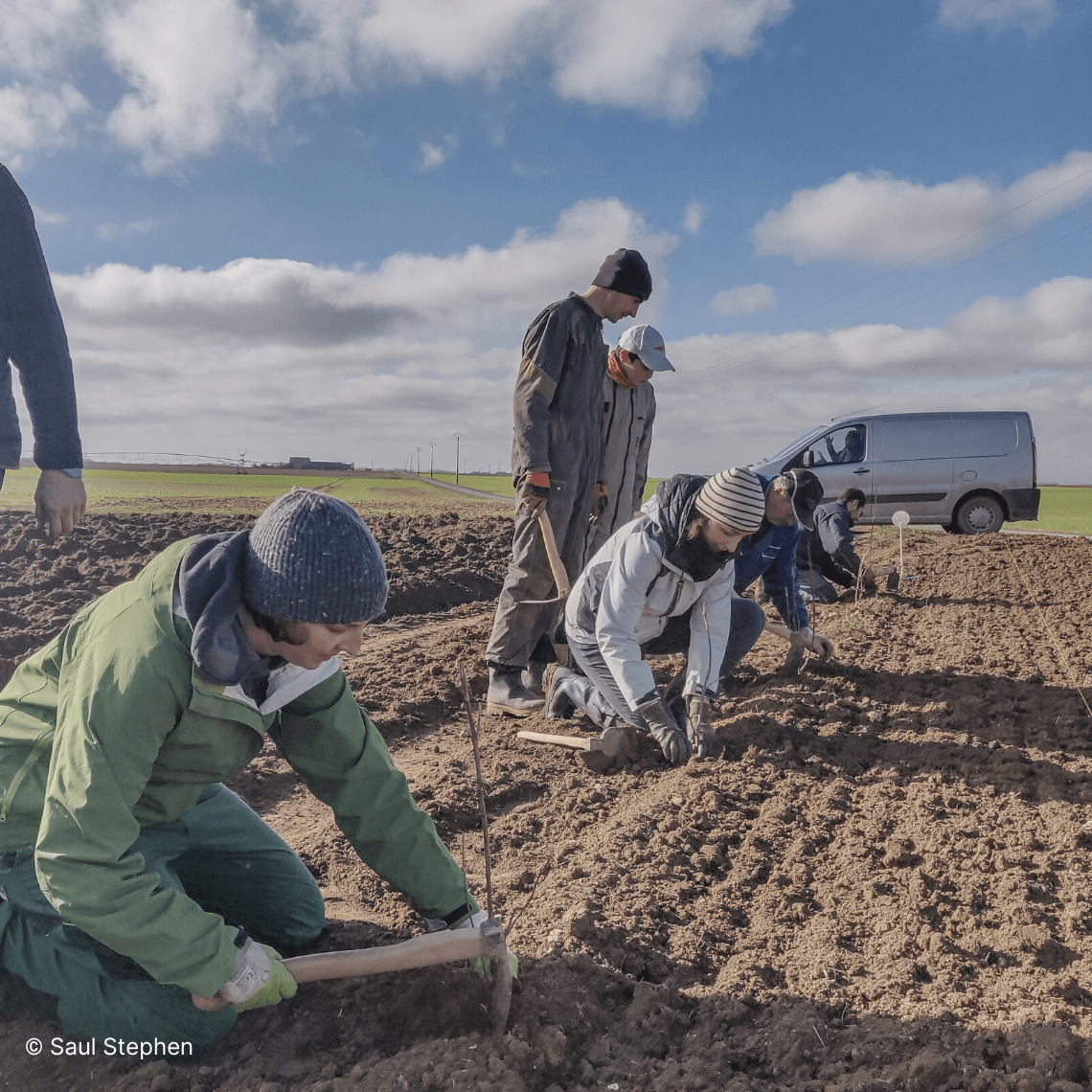 Plantations dans la Beauce en partenariat avec GoodPlanet.