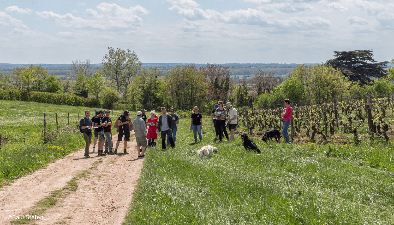 Les apprenants sur le terrain lors de la semaine 7 en Gironde.