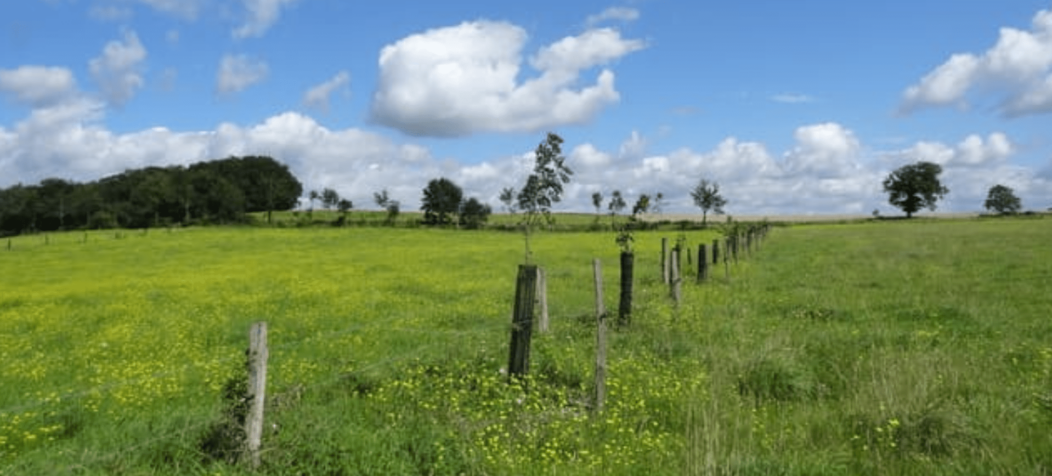 Evolution des plantations réalisées en 2020 en Ille-et-Vilaine.