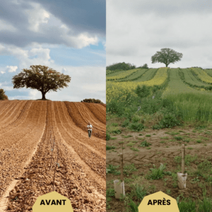 "1 an après" sur le site pilote de Duras, en Lot-et-Garonne.
