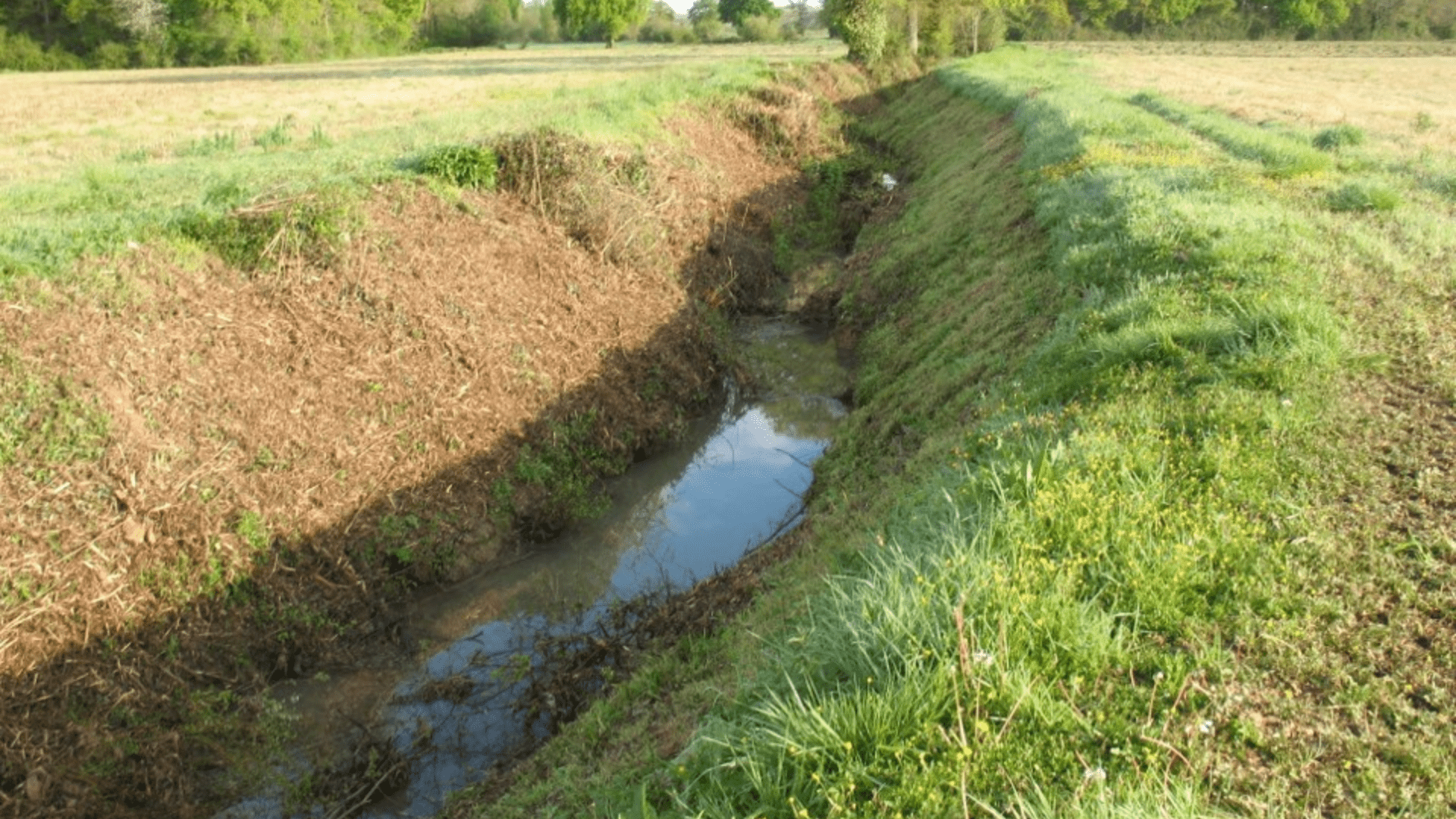 LA RIPISYLVE GESTION DE LA VÉGÉTATION DES BORDS DE COURS D'EAU