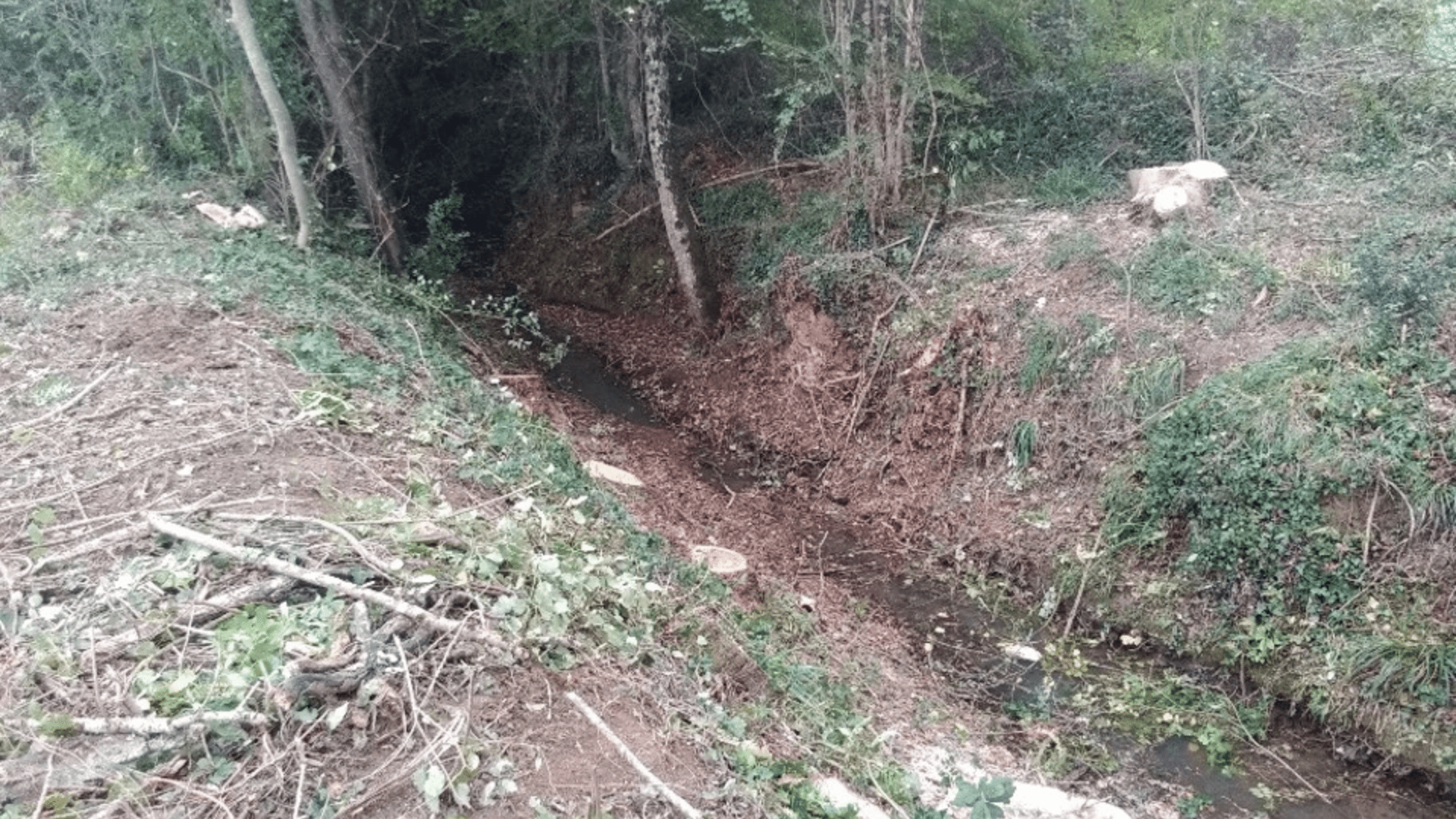 LA RIPISYLVE GESTION DE LA VÉGÉTATION DES BORDS DE COURS D'EAU.