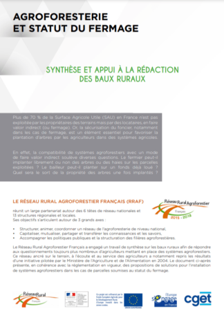 COUVERTURE DE LA SYNTHÈSE ET APPUI À LA RÉDACTION DES BAUX RURAUX